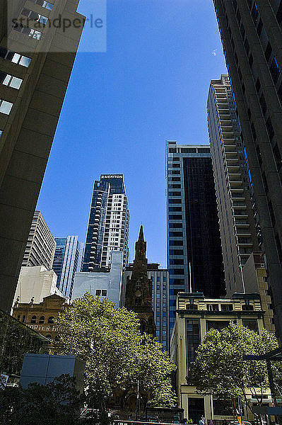 Ozeanien  Australien  Sydney  Stadtzentrum