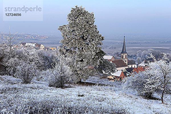 das Dorf Rorschwihr im Winter  Elsass  Frankreich