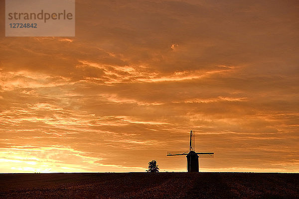 Belgien  Windmühle bei Kergate  Zwalm