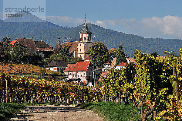 Dorf Zellemberg im Herbst  Elsass  Frankreich