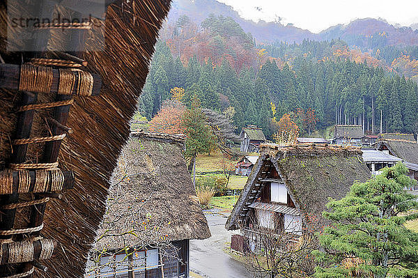 Japan  Japanische Alpen  Strohdachhäuser von Shirakawa-go