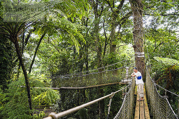 Ein Mann beobachtet den Wald auf einer Hängebrücke  Botanischer Garten von Balata  Martinique  Frankreich