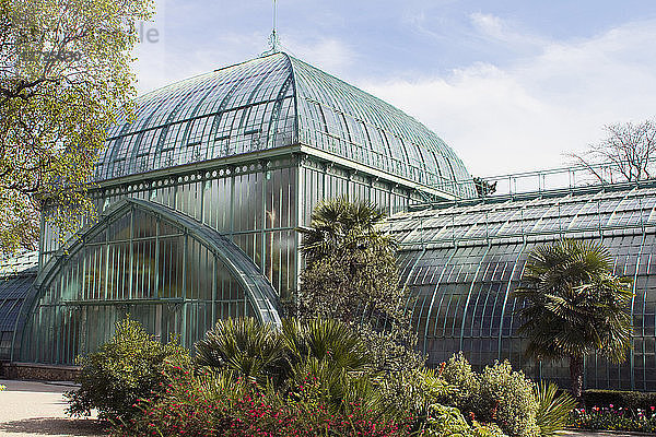 Frankreich  Paris  Jardin des Serres d'Auteuil  Orangeriegewächshaus und Palmarium