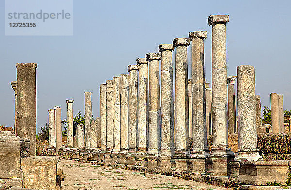 Türkei  Provinz Antalya  Aksu  archäologische Stätte von Perge oder Perga  die Agora