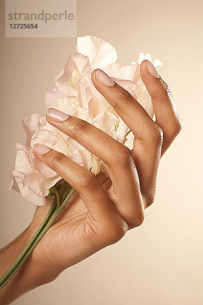 Frau Hand Schönheit Blume