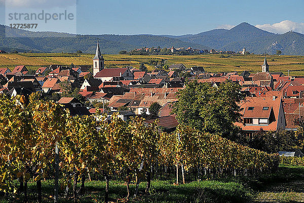 Dorf Beblenheim in seinem Weinberg im Herbst  Elsass Frankreich