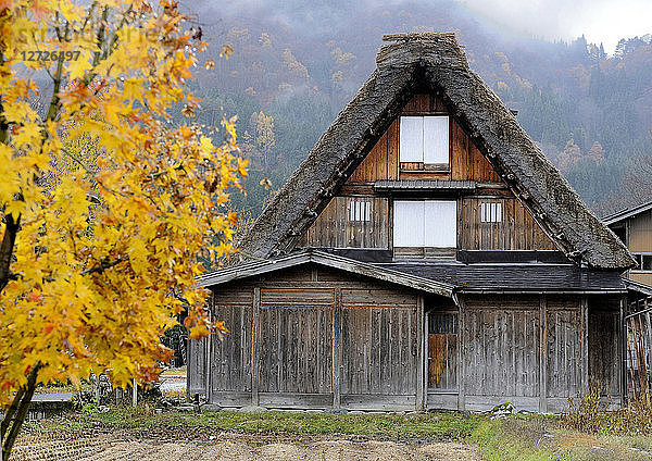 Japan  Japanische Alpen  Shirakawa-go  Strohdachhaus