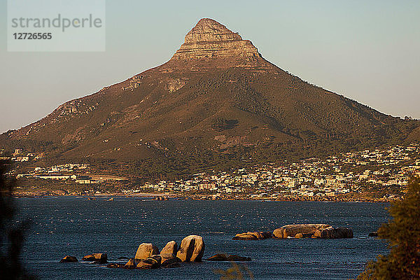 Süd-Afrika. Provinz Westkap. Der Lion's Head ist ein felsiger Gipfel  der die Stadt Kapstadt überragt. Diese 669 Meter hohe geologische Formation verdankt ihren Namen ihrer charakteristischen Form  die bei den frühen holländischen Siedlern an einen Löwenkopf erinnerte.