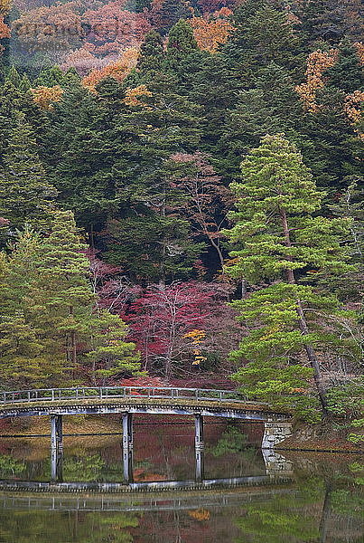 Japan  nordöstliches Gebiet von Kyoto  Holz-Erde-Brücke  die kleine Inseln im Yokuryuchi-Teich bei der kaiserlichen Villa Shugakuin verbindet
