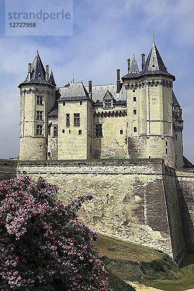 Frankreich  Schloss Chinon  östliches Schloss mit Blumen im Vordergrund