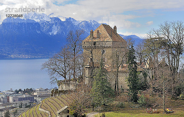 Schweiz  Montreux  Weinbau-Schloss über dem Genfer See