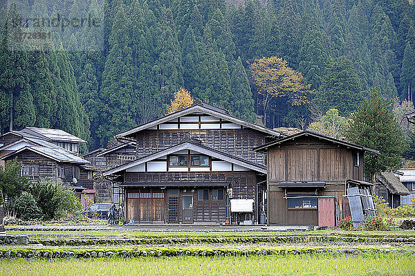 Japan  Japanische Alpen  Shirakawa-go  alte Häuser