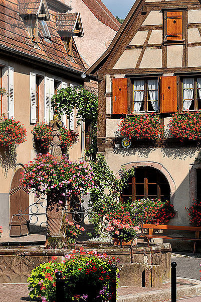 Fachwerkhaus in dem Dorf Blienschwiller  Elsass  Frankreich