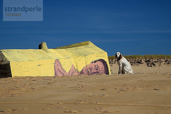 Hund am Strand von Cap Ferret  Frankreich