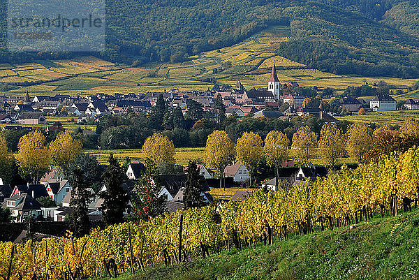 Dorf Ammerschwihr in seinem Weinberg im Herbst