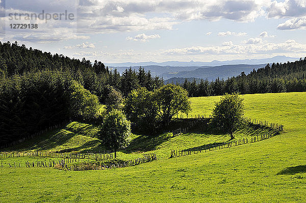 Frankreich  Region Rhône-Alpes  Departement Ardeche  Landschaft des Vivarais um Lalouvesc  Berge des Vivarais.