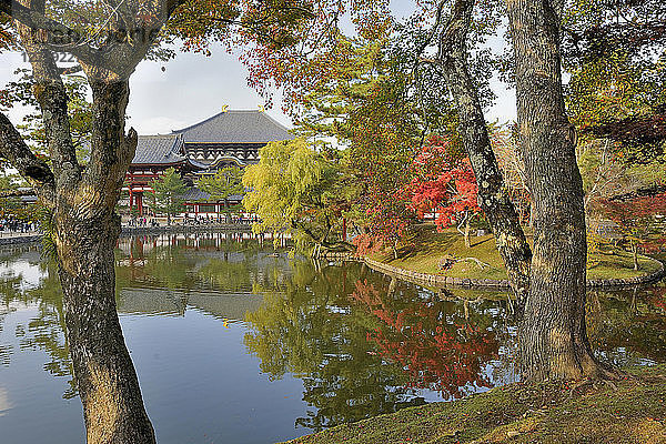 Japan  Honshu  Nara  Teich im buddhistischen Tempel Todai-ji (UNESCO-Welterbe  8. Jahrhundert)