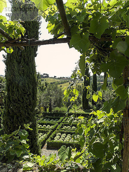 Italien  Toskana  Florenz  Garten auf den Hügeln