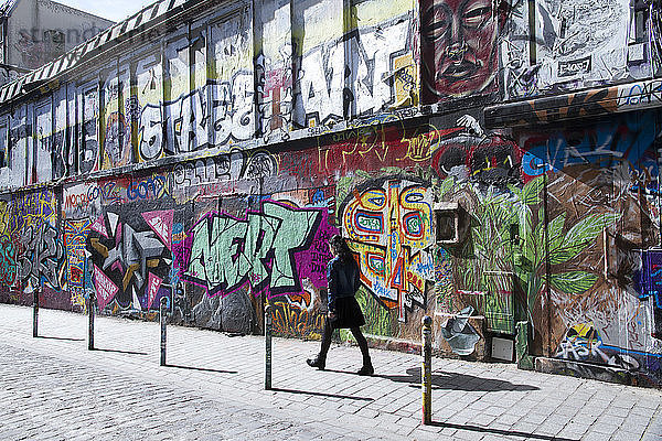 Frankreich  Paris  Belleville  Wandmalerei in der Straße Denoyez  20.