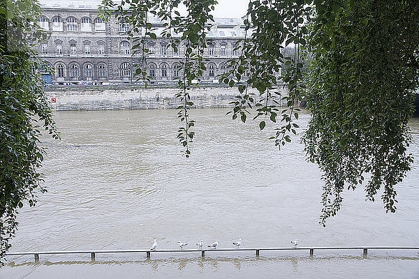 Frankreich  Paris  Hochwasser der Seine (2. Juni 2016)