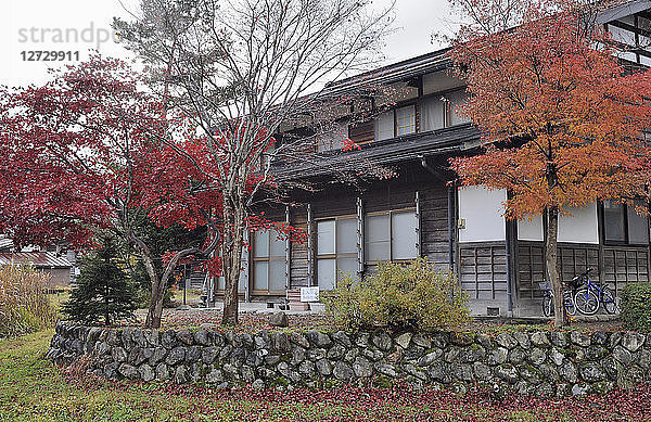 Japan  Japanische Alpen  Shirakawa-go  Ahorn und altes Haus