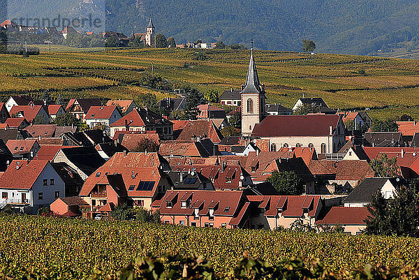 das Dorf Beblenheim in seinem Weinberg im Herbst