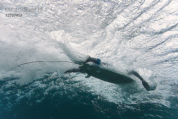 Maledives  Indian Ocean  surfer on surfboard  underwater shot