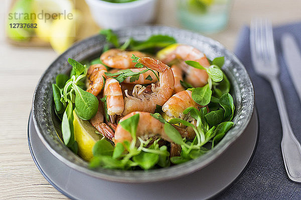 Shrimps with lamb's lettuce on plate