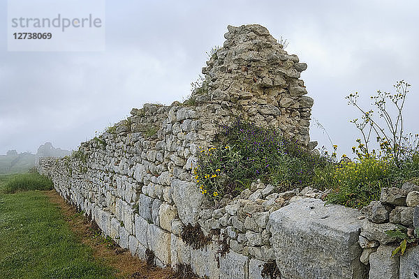 Albania  Fier County  ancient city Byllis  city wall