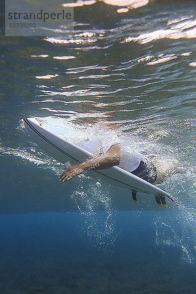 Maledives  Indian Ocean  surfer lying on surfboard  underwater shot