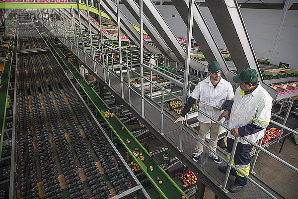 Workers talking in apple factory