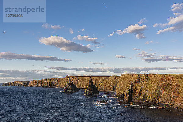 UK  Scotland  Caithness  Coast of Duncansby Head  Duncansby Stacks