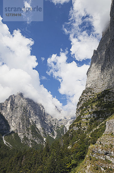 Italy  Trentino  Brenta Dolomites  Parco Naturale Adamello Brenta  Croz dell' Altissimo right