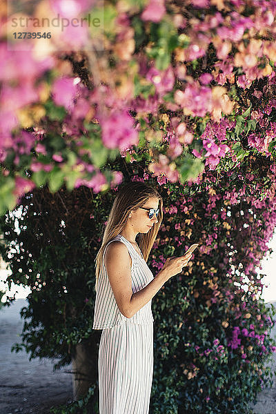 Woman using cell phone in park under pink blossoms