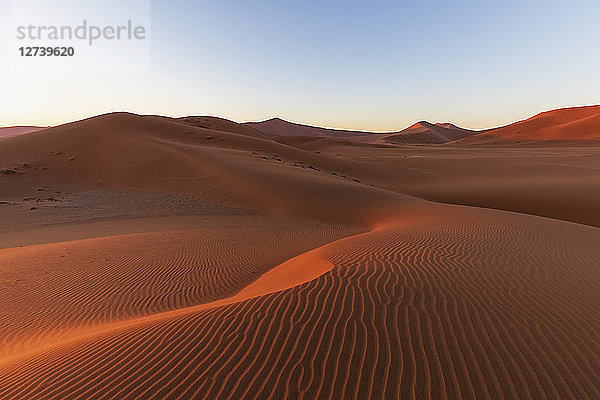 Africa  Namibia  Namib desert  Naukluft National Park  sand dune in the morning light at sunrise