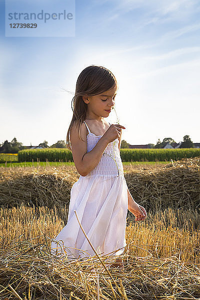 Little girl standing in havested field smelling flower