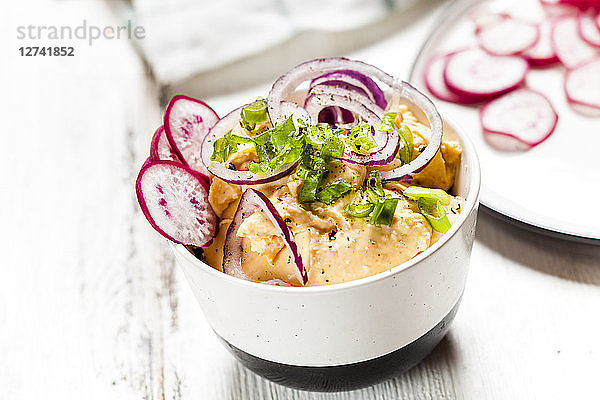 Obatzda with red onion  radish and spring onion