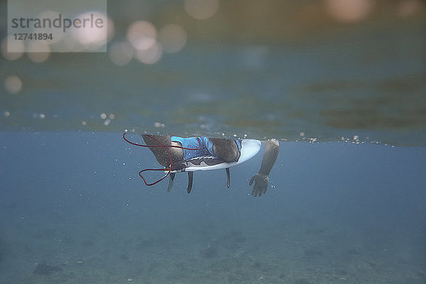 Maledives  Indian Ocean  surfer sitting on surfboard  underwater shot