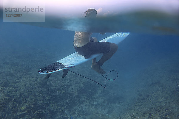 Maledives  Indian Ocean  surfer sitting on surfboard  underwater shot