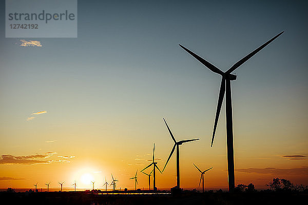 Spain  wind farm at sunset