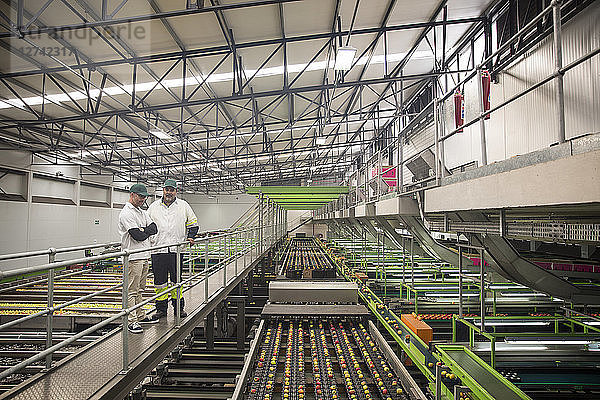 Workers talking in apple factory  sorting machine
