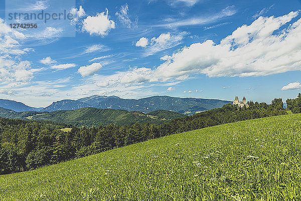 Austria  Lower Austria  Neunkirchen District  Burg Wartenstein