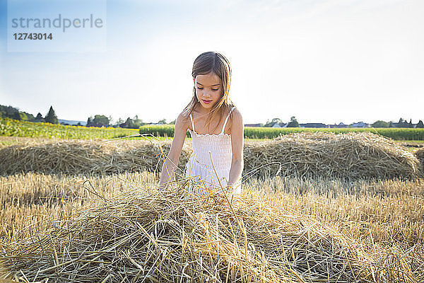 Little girl standing in havested field
