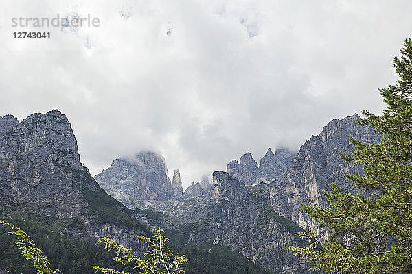 Italy  Trentino  Brenta Dolomites  Parco Naturale Adamello Brenta  Campanile Basso