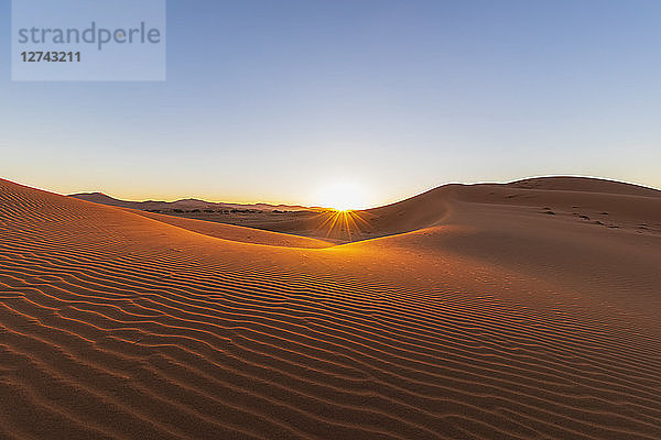 Africa  Namibia  Namib desert  Naukluft National Park  sand dunes against the morning sun