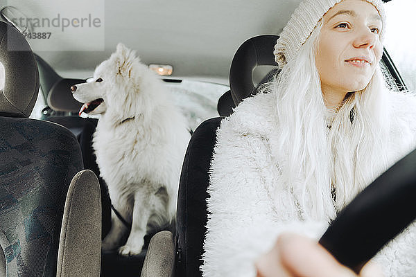 White dressed young woman driving car with white dog on the backseat