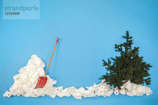 Shovel in snow with fir tree