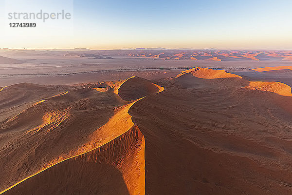 Africa  Namibia  Namib desert  Namib-Naukluft National Park  Aerial view of desert dunes in the morning light