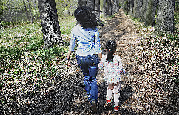 Mother and daughter walking in park  rear view