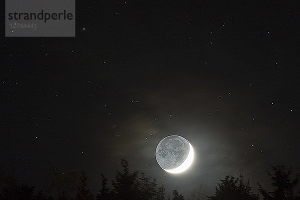 Germany  Hesse  Hochtaunuskreis  moon with grey light rising above trees with stars in background